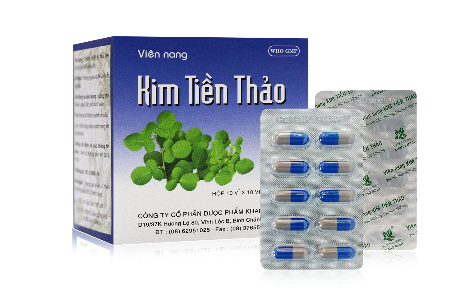 Viên nang Kim tiền thảo Thanh nhiệt, lợi tiểu, bài sỏi 