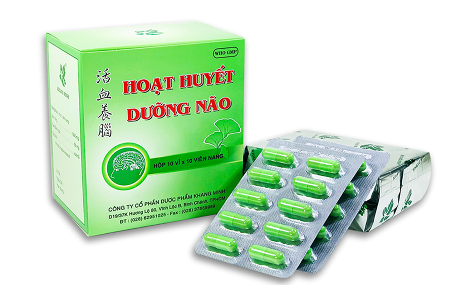 Hoạt Huyết Dưỡng Não